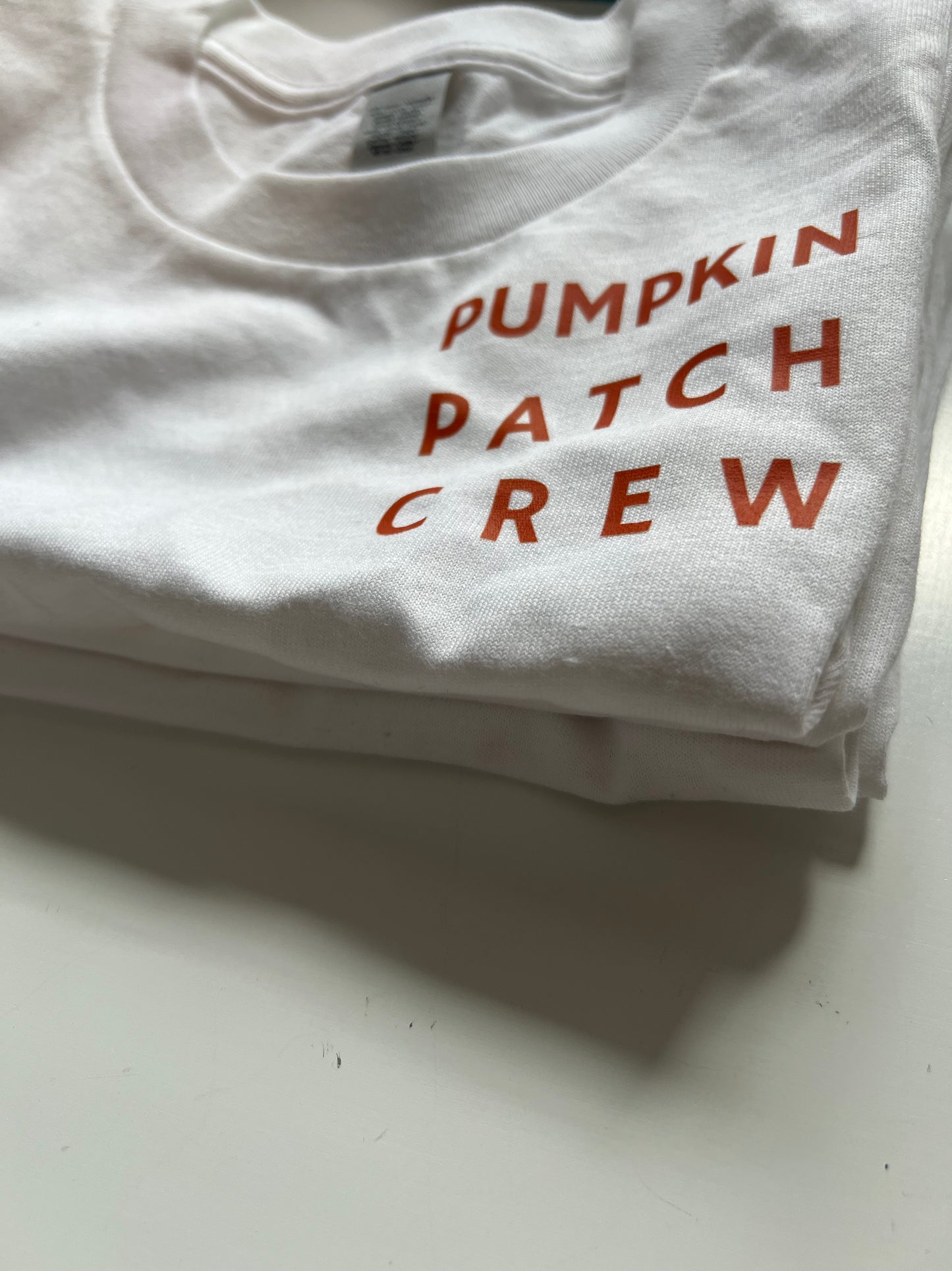 Pumpkin Patch Crew T-Shirt (Pre Order)